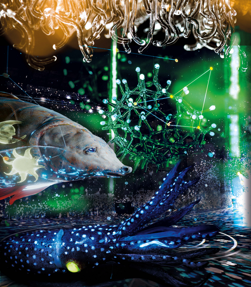 Erfassung der realen Welt für die virtuelle Realität Erfassung der realen Welt für die virtuelle Realität